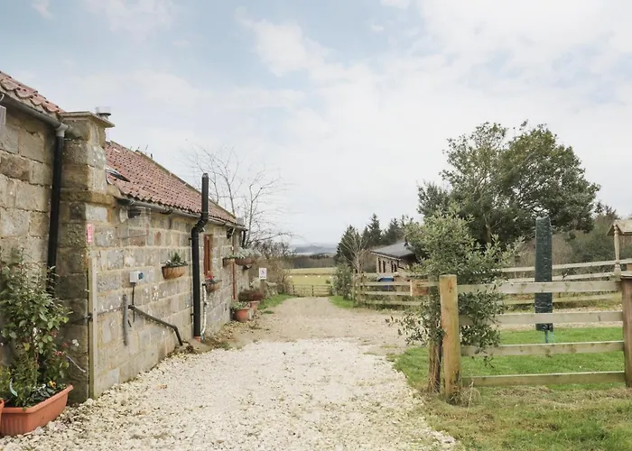 Forest View Cottage