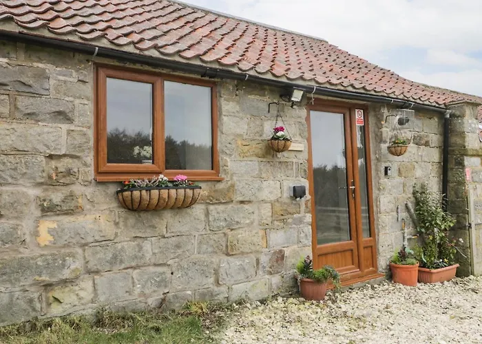 Forest View Cottage
